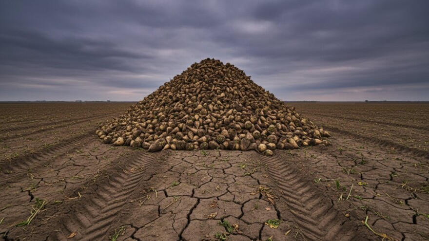 Srbi definitivno ne daju repu Hrvatskoj?