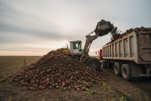 Srbi zabrinuti 'Hrvati zarađuju na našem šećeru!'
