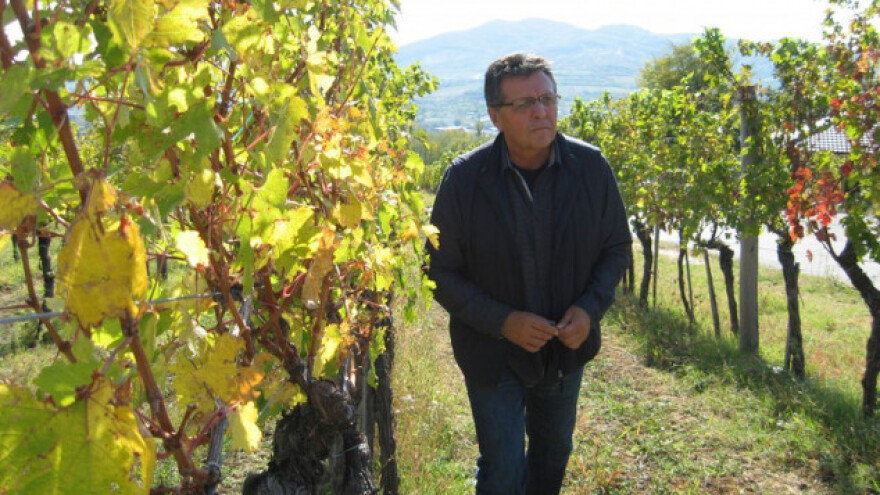 Srbija postaje Bordo