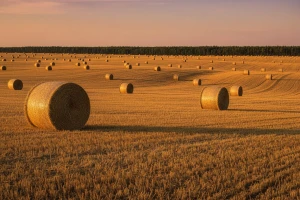 Srbija ima veliki potencijal u biomasi