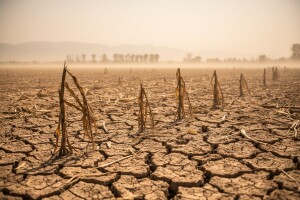 Srbija u borbi protiv klimatskih promena
