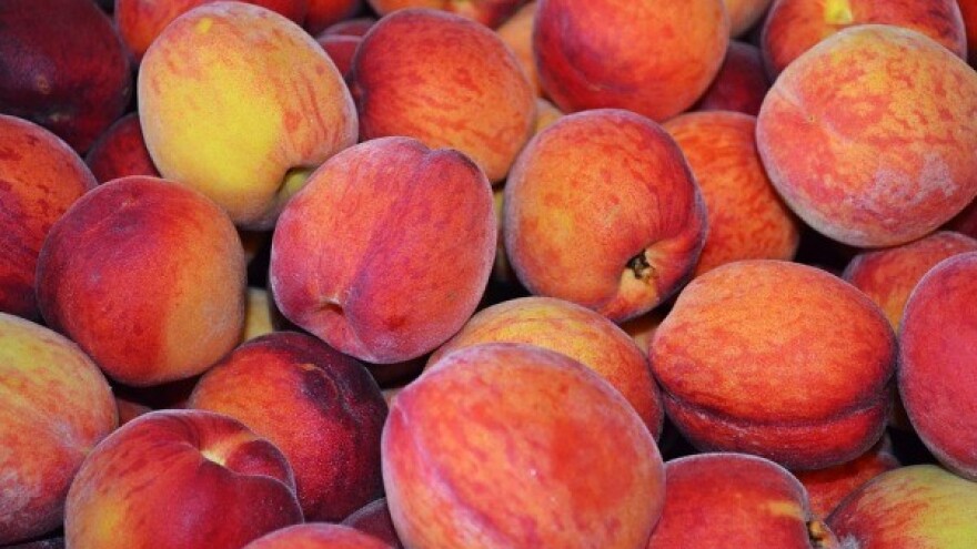 Rusija vratila 3 tone zaraženih breskvi iz Srbije