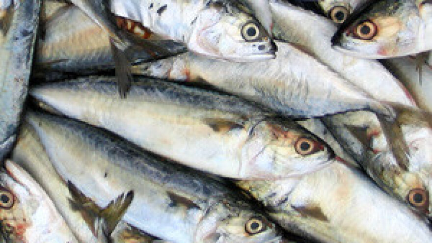 Potezi države izazvali ribare