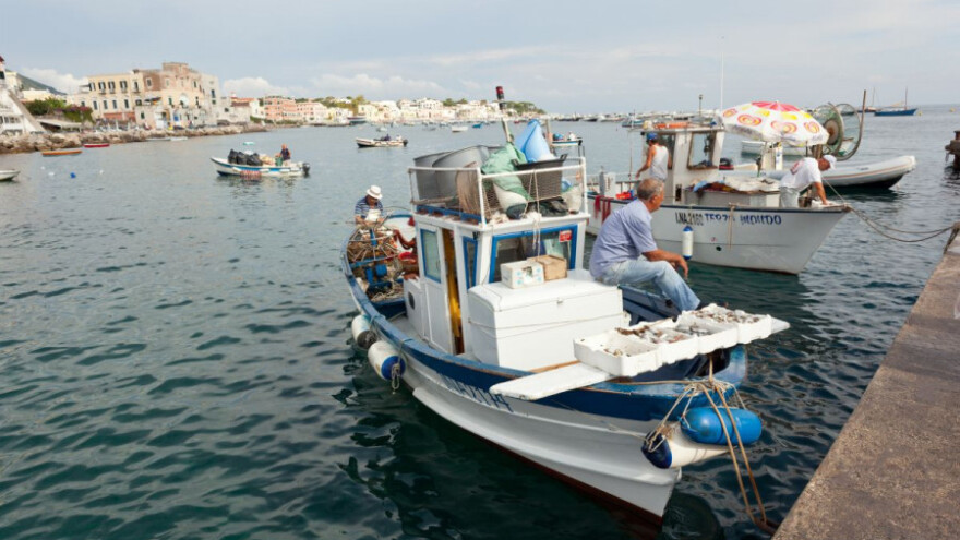 Anonimni ribar darovao srdele najsiromašnijima