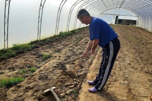 Priprema plastenika za sljedeću proizvodnu sezonu