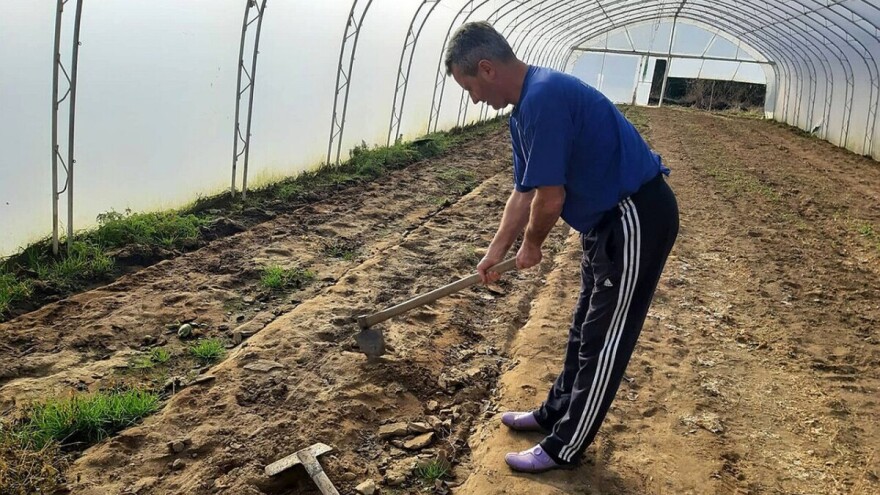 Priprema plastenika za sljedeću proizvodnu sezonu