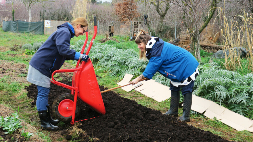 Kako pripremiti perma gredicu u zimskim uvjetima za ranu sjetvu povrtnih kultura