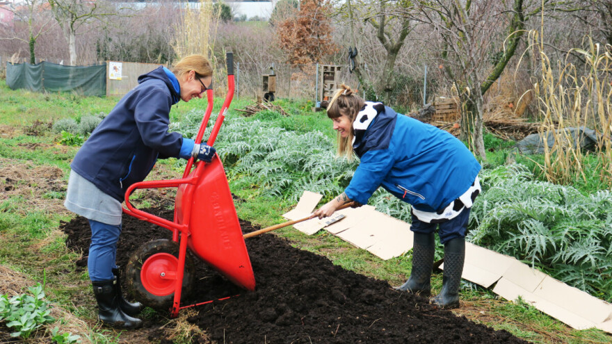 Kako pripremiti perma gredicu u zimskim uvjetima za ranu sjetvu povrtnih kultura
