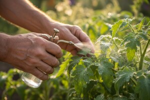 Sredstva za zaštitu bilja za hobi poljoprivrednike
