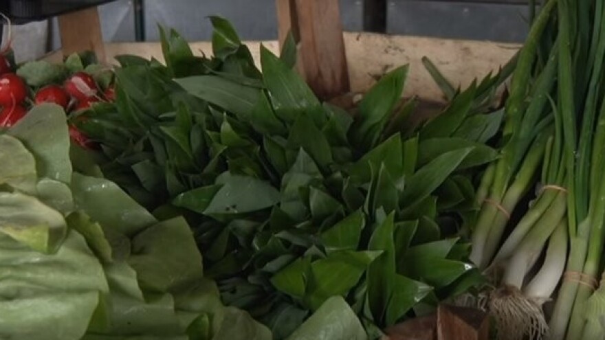 Sremuš - ukusna biljka koja leči!