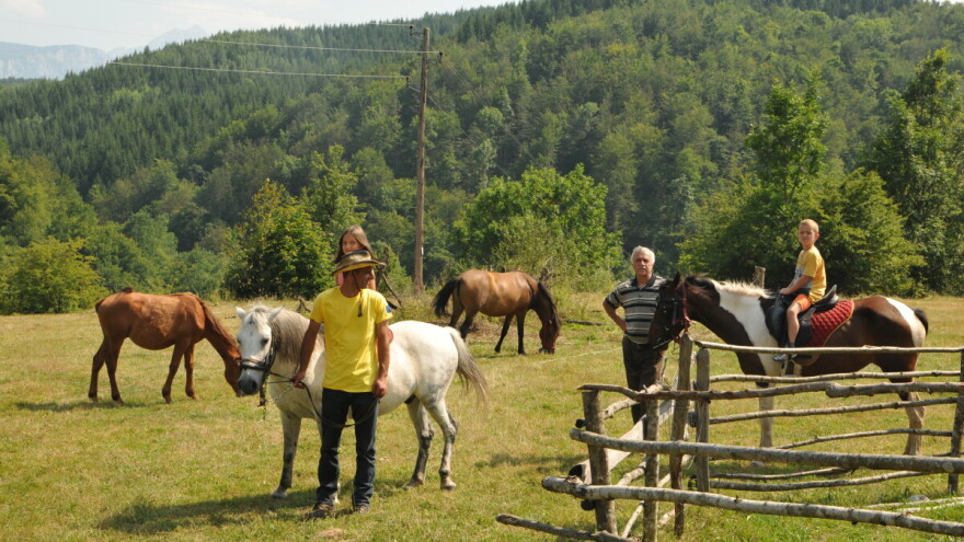 Sretenovi pastuvi krstare Zelengorom i privlače velik broj turista