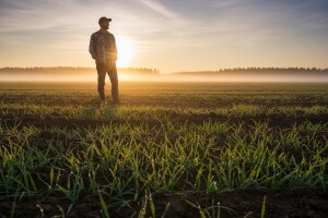 Sretna Vam i plodna 2018! #10godina