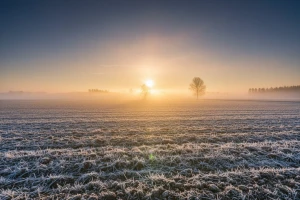 Sretnija Vam nova 2011!