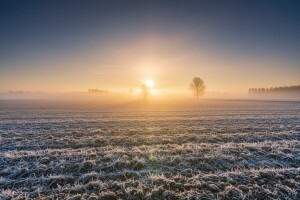 Sretnija Vam nova 2011!