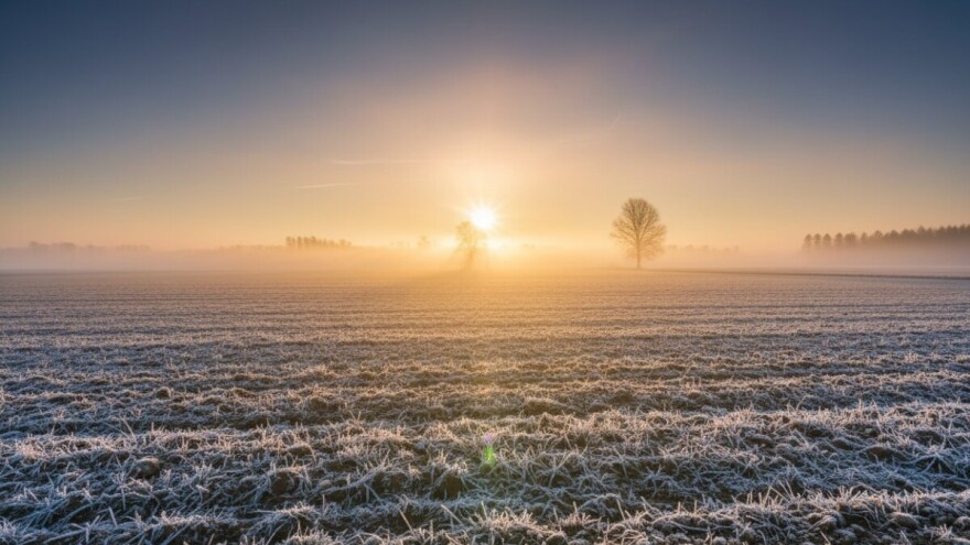 Sretnija Vam nova 2011!