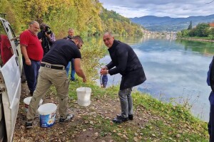 Drina poribljena pastrmkom i šaranom