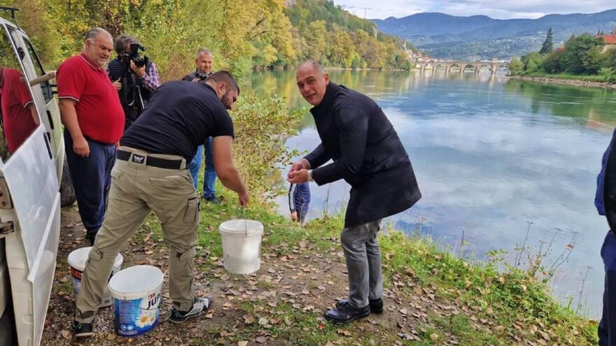 Drina poribljena pastrmkom i šaranom