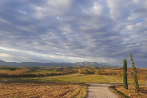 Povremeno sa padavinama: Lisne vaši i cikade prave štetu na pšenici i ječmu