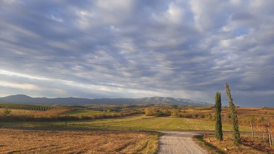 Koje će opštine dobiti podršku za puteve, snabdevanje vodom i skladištenje i preradu?