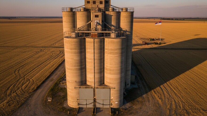 Srpska vlada zabranila izvoz pšenice i brašna