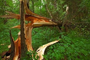Dodjela pomoći za Gorski kotar krajem godine