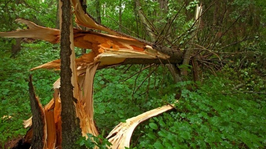 Dodjela pomoći za Gorski kotar krajem godine