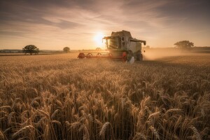 Srušio rekord u prinosima pšenice i repice!