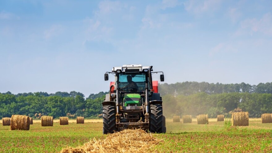Savino Selo: I poljoprivreda može da bude pravi izbor