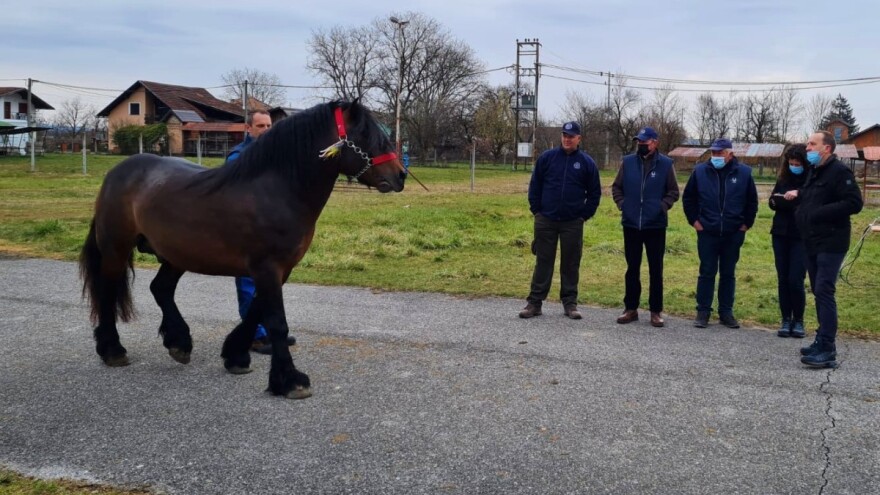 Objavljena vrijedna publikacija "Katalog pastuha hrvatskog posavca"