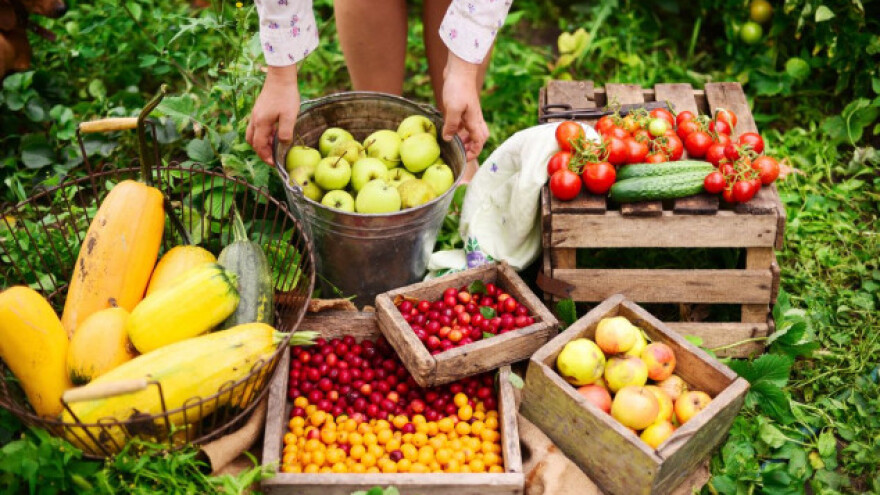Da smo uređena zemlja, SSP bi bio dobra šansa