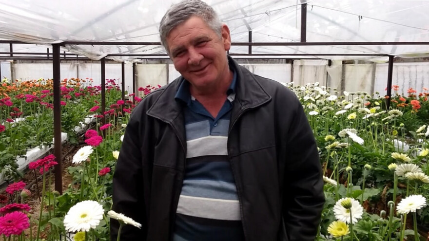 Gerberi iz kokosovog vlakna obilaze cijelu Hrvatsku