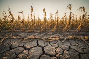 Šta li je bilo dobro u agrarnoj 2015.?