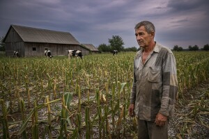 Šta muči banatske stočare?