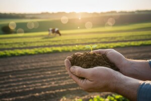 Šta posle organskog?