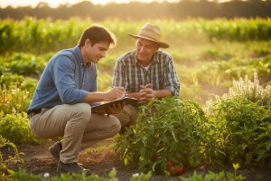 Šta se krije iza dobre sertifikacione kuće?