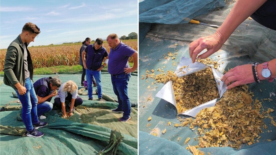 Predstavljen novi stabilizator silaže koji djeluje već nakon 2 sata