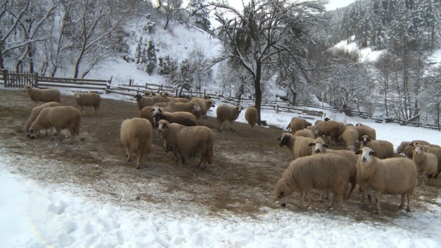 Je li istočni dio RS mnogo nerazvijeniji od zapadnog?