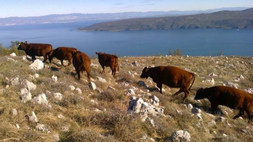 Obiteljsko poljoprivredno gospodarstvo Hrelja