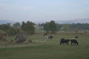Poticanje ruralnog razvoja