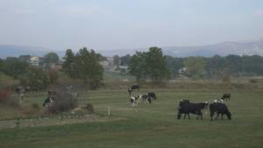 Poticanje ruralnog razvoja