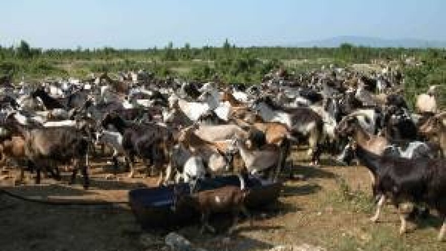 Zagora - smočnica Dalmacije