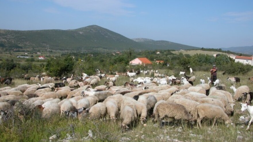 Financiranje strateških planova za lokalni razvoj!