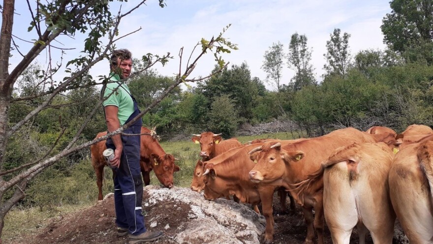 Predrag Milojević: Ne zanimaju me poticaji već uzgoj vrhunskih limuzinki na ličkom kršu