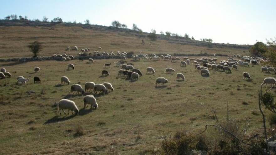 Budućnost poljoprivrede - zajednička odgovornost
