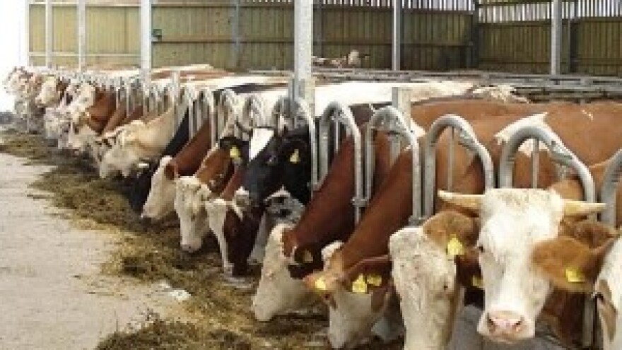 Prijevara No.3 - Izgradnja staja za mliječne krave uz pomoć države