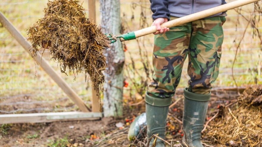 Stajnjak - najvažnije organsko đubrivo