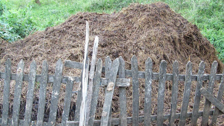 Šta je potrebno znati za pravilnu manipulaciju stajnjakom?