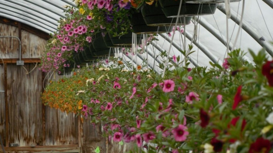 Staklenici za 58 malih poljoprivrednika