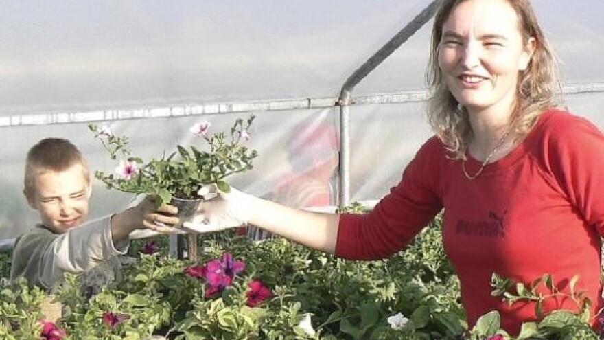 Presadnice iz Međimurja