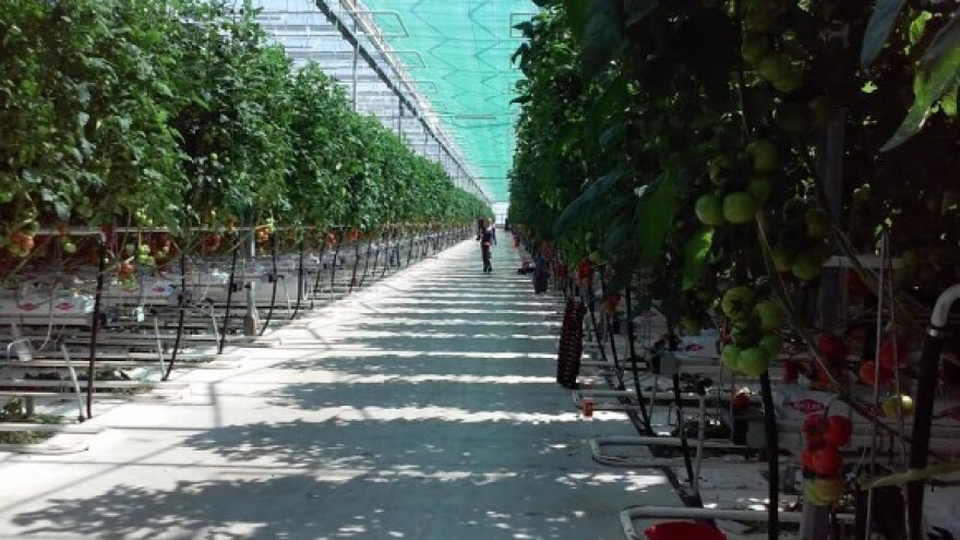 Agrokoru 17,7 milijuna kuna iz EU ruralnog fonda